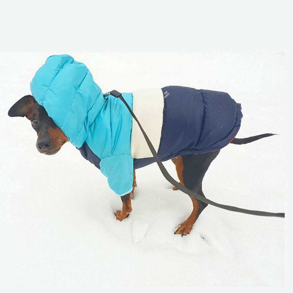 1 pc Pet Clothes For Dogs Chihuahua Warm