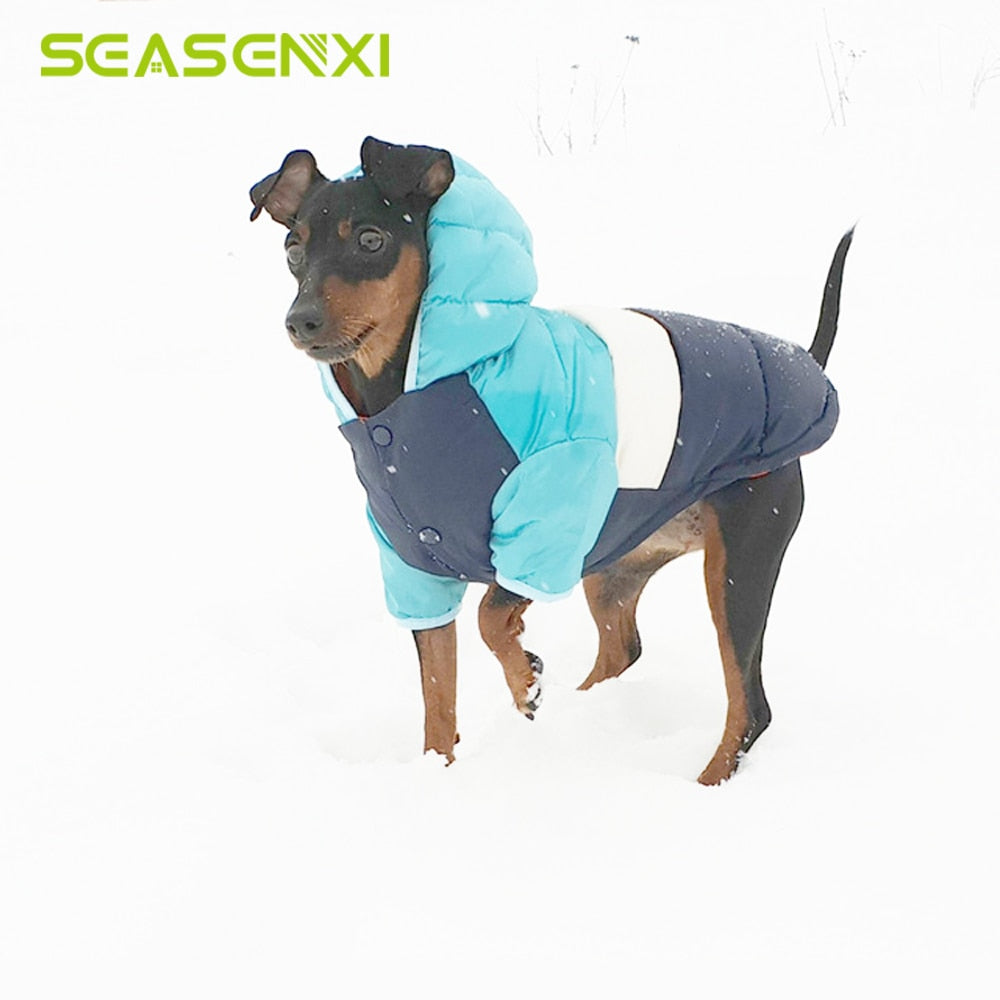 1 pc Pet Clothes For Dogs Chihuahua Warm