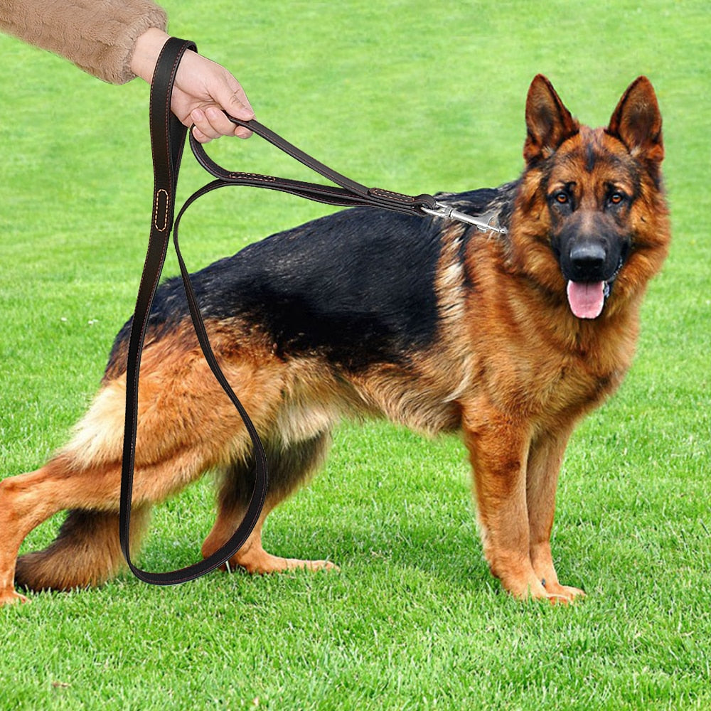 Geniune Leather Pet Dog Leash Rope Pet K9 Training